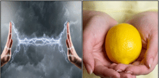 lemon