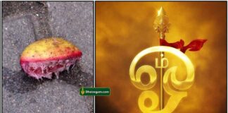 திருஷ்டி போக்கும் மந்திரம் lemon-mantra