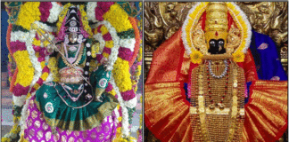 mahalakshmi parvathy