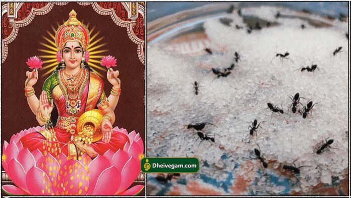 mahalashmi