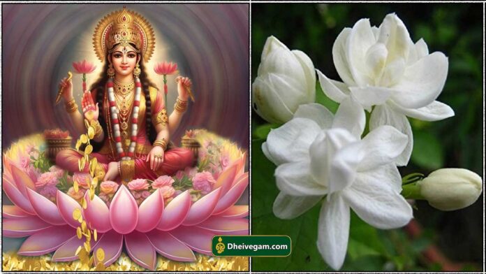 mahalashmi