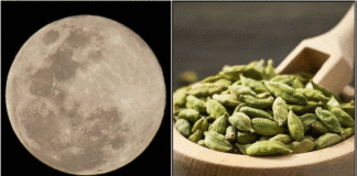 moon