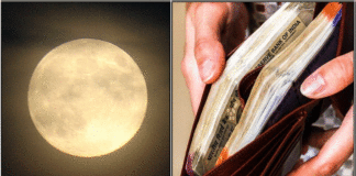 moon money