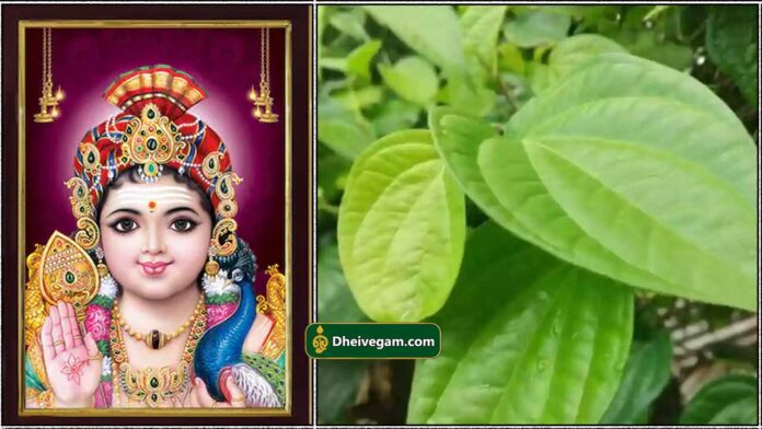 murugan