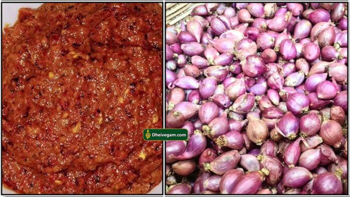 small-onion-chutney