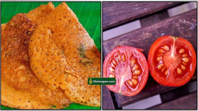 tomato-dosa