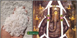 uppu-vinayagar