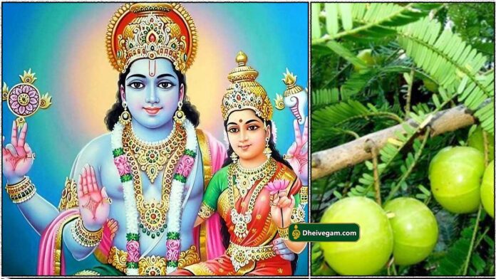 vishnu