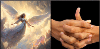 angel