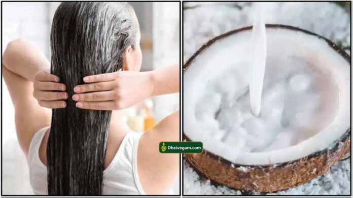 coconut-milk-hair-mask