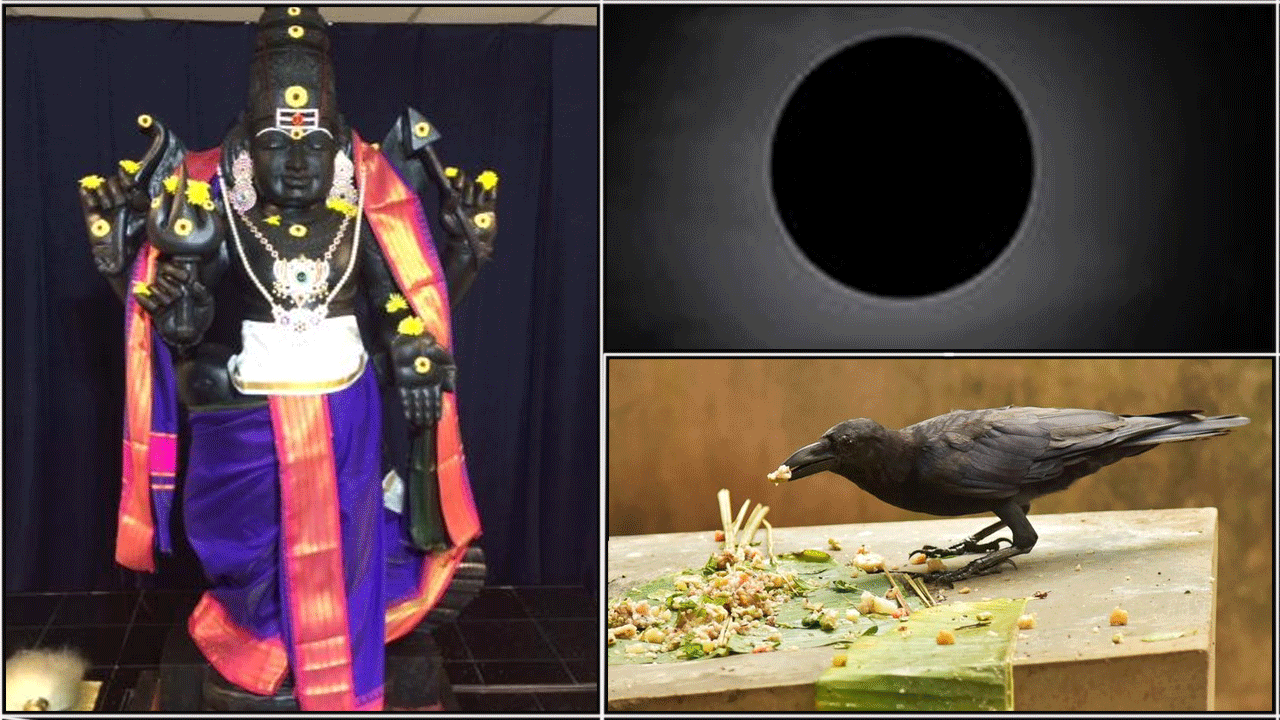 sani bhagavan moon crow feeding