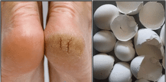 foot egg shell