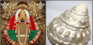 mahalakshmi sangu