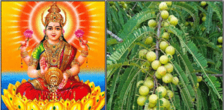 mahalkshmi