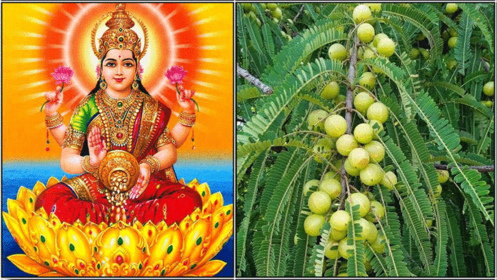 mahalkshmi