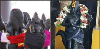 sani bhagavan