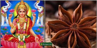 sare-anise