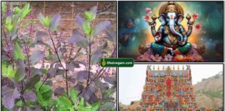 thulasi-gopuram-vinayagar