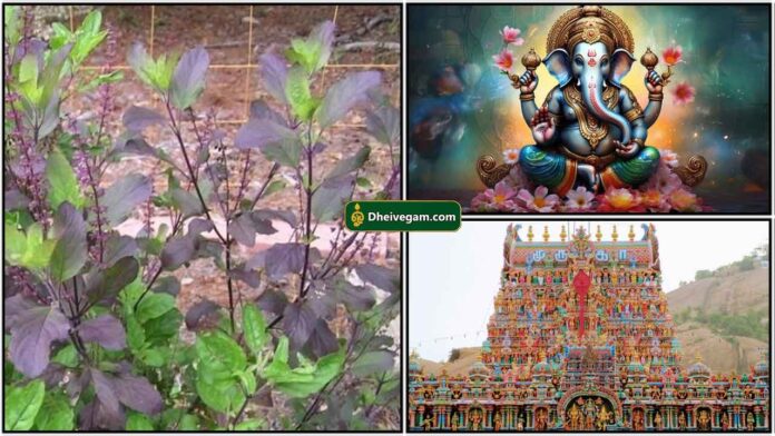 thulasi-gopuram-vinayagar