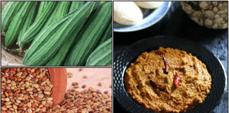 பீர்க்கங்காய் கொள்ளு துவையல் செய்முறை thogayal