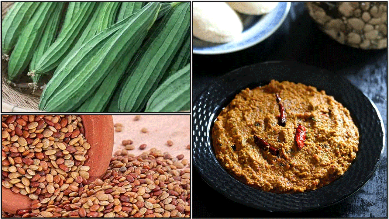 பீர்க்கங்காய் கொள்ளு துவையல் செய்முறை