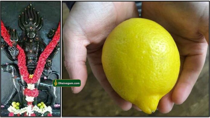 bairavar-lemon