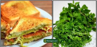 கிரீன் சட்னி சாண்ட்விச் green-bread-sandwich