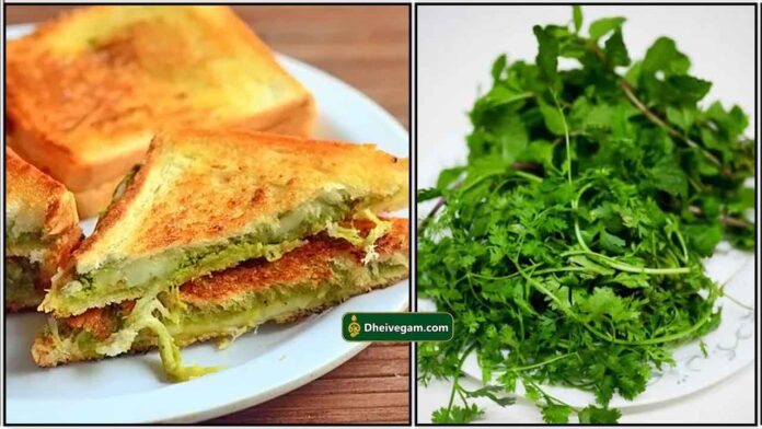 green-bread-sandwich
