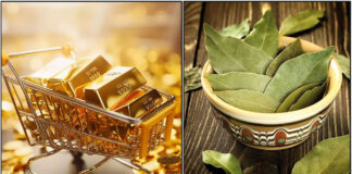 gold briyani leaf