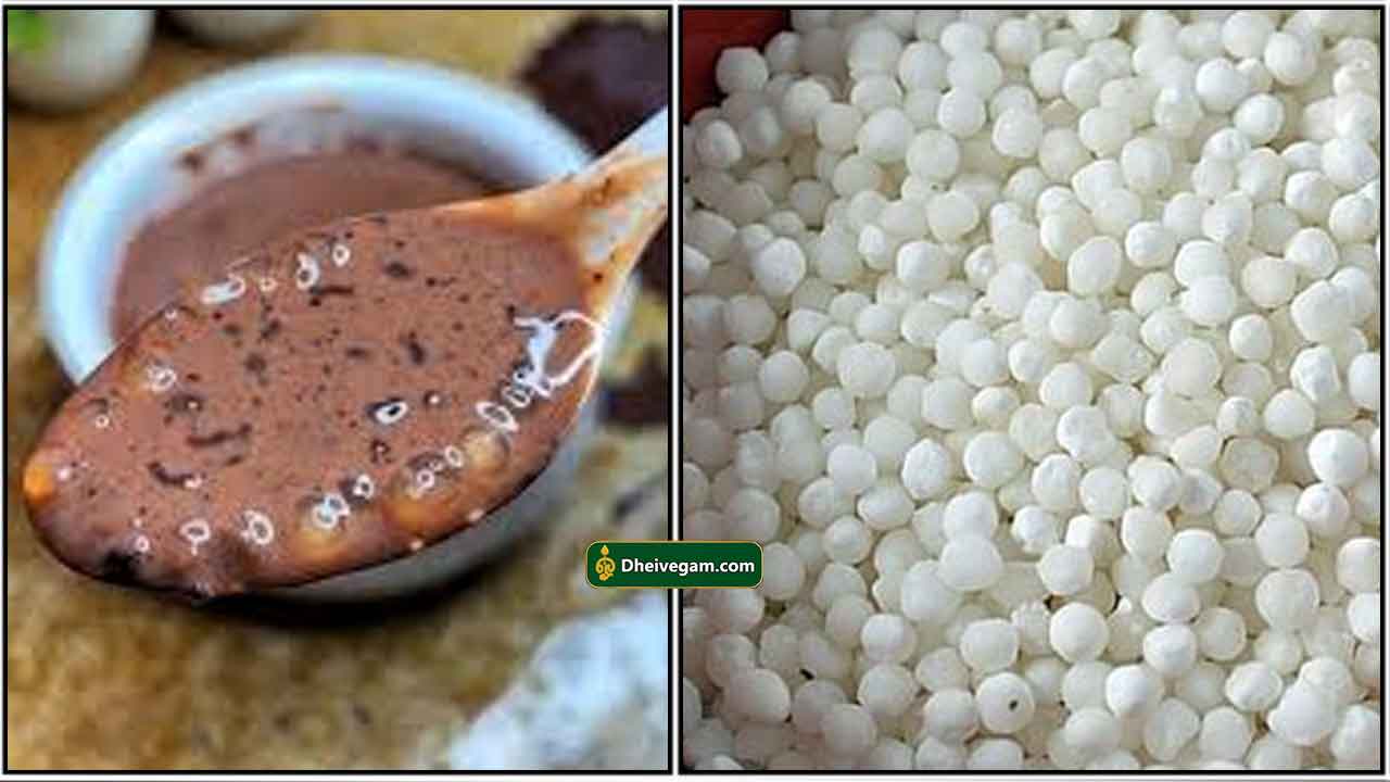 ஜவ்வரிசி சாக்லேட் பாயசம்