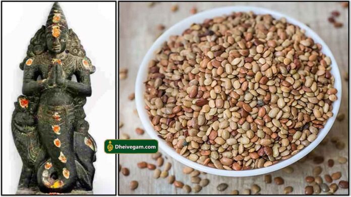 ketu-bagavan-kollu