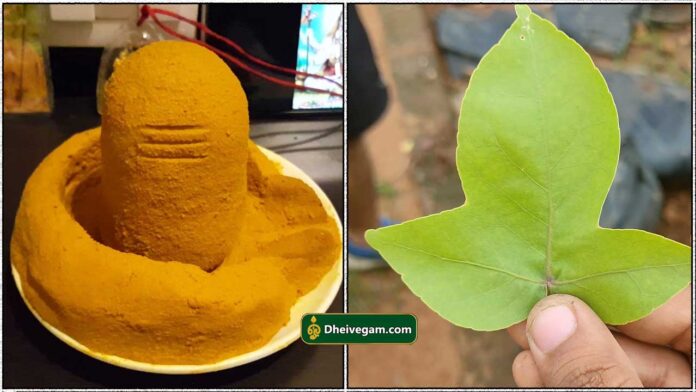 lingam