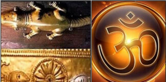 golden lizard om