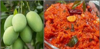 காரசார மாங்காய் பச்சடி செய்யும் முறை mangoo pachadi