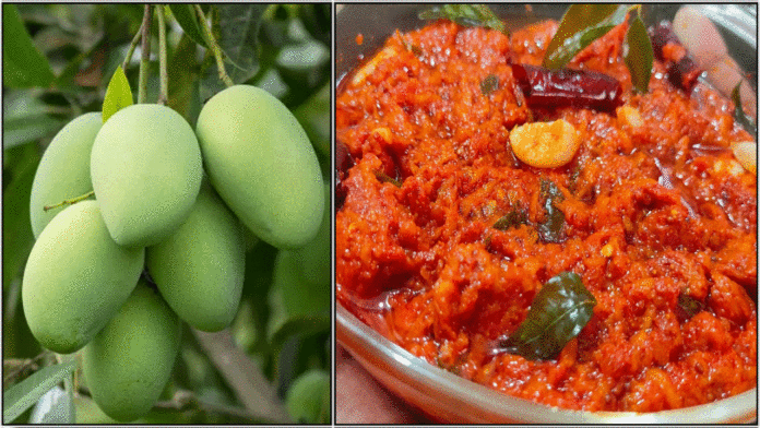 mangoo pachadi