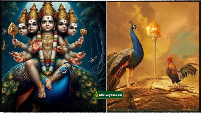 muruagar1