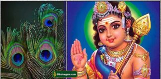 பணம் தரும் மயில் இறகு பரிகாரம் murugar