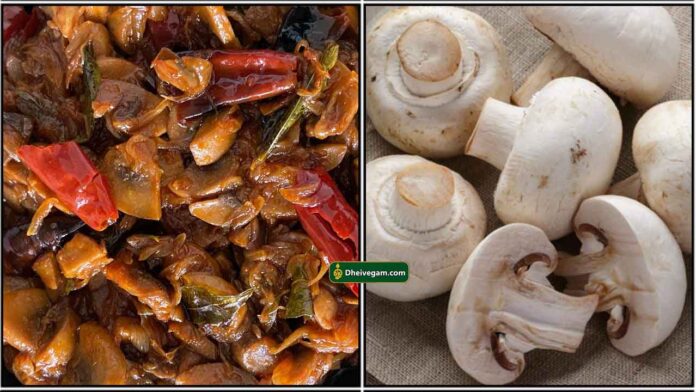 mushroom-chinthamani