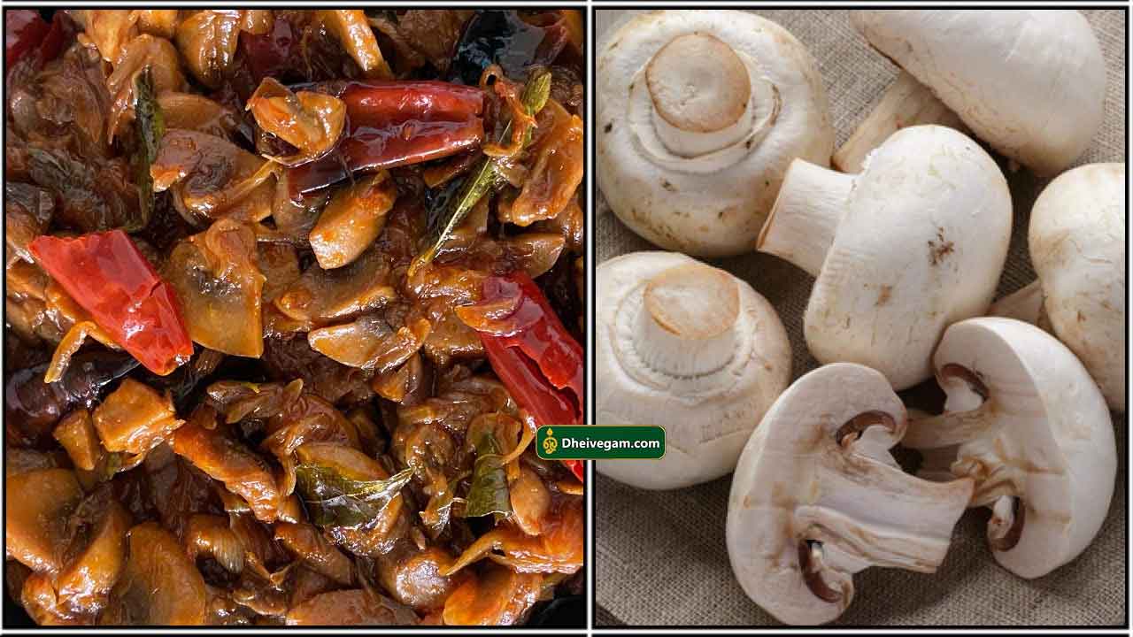 காரசாரமா மஸ்ரூம் சிந்தாமணி