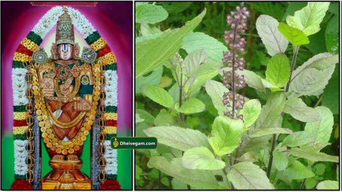 perumal-thulasi