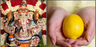 ருணத்தை நீக்கும் சங்கடஹர சதுர்த்தி vinayagar