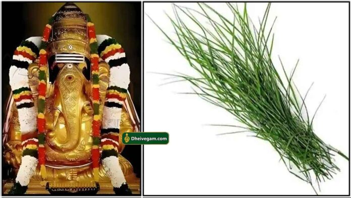 vinayagar-arugampul