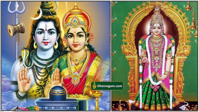 ambal