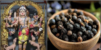 bairavar pepper