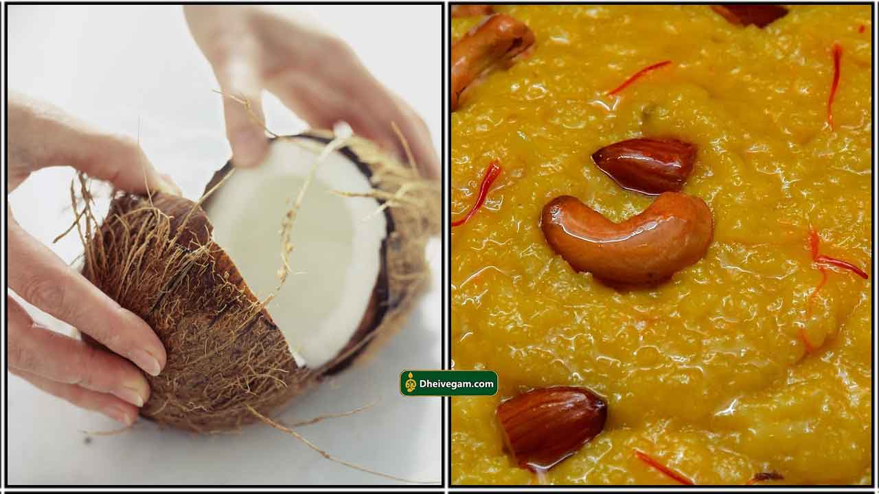 தேங்காய் திரட்டி ஹல்வா