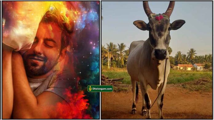dream-cow