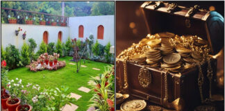 garden money