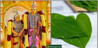 meenakshi1