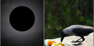 moon crow