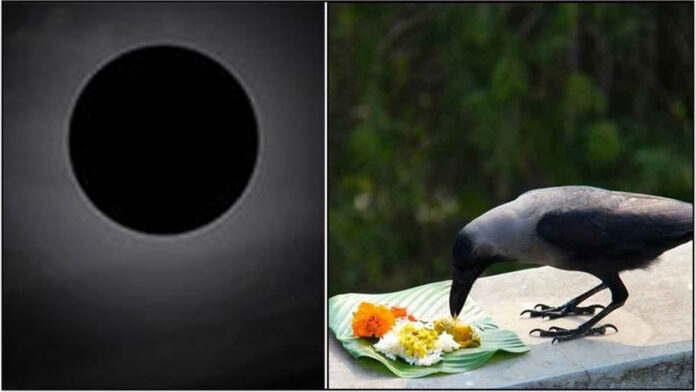 moon crow
